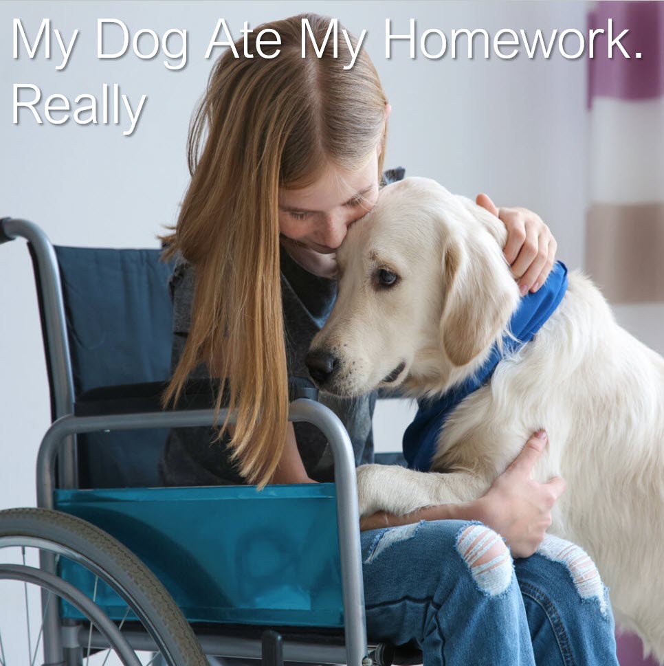 Dog Eats Homework